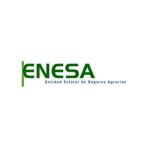 logo-enesa